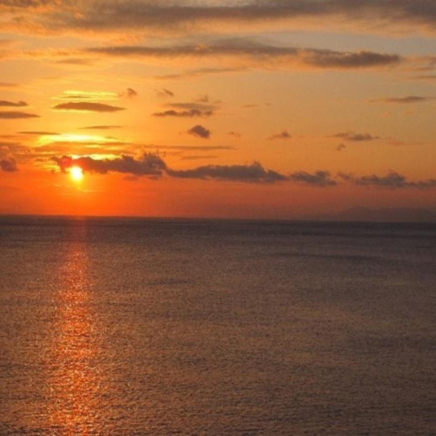 森の入り江の離れ宿 無雙庵枇杷 Izu  Bagian luar foto